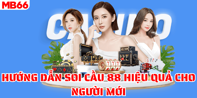 Hướng dẫn soi cầu 88 hiệu quả cho người mới