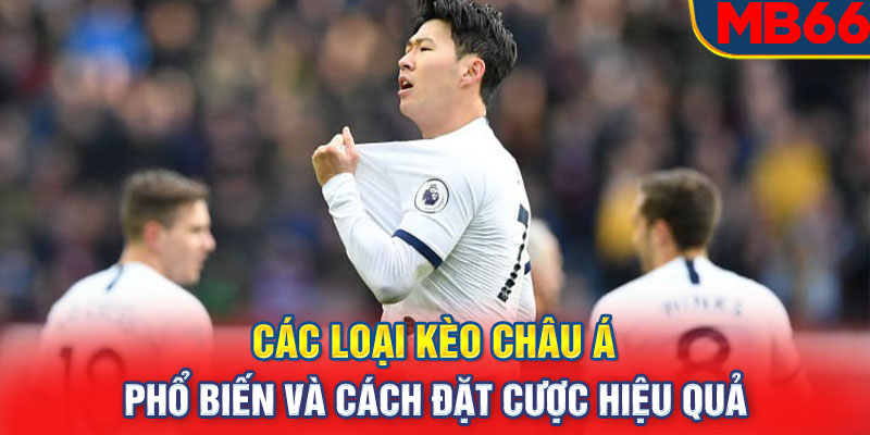 Các loại kèo Châu Á phổ biến và cách đặt cược hiệu quả