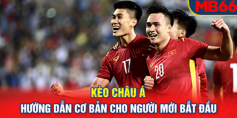 Kèo Châu Á Hướng dẫn cơ bản cho người mới bắt đầu